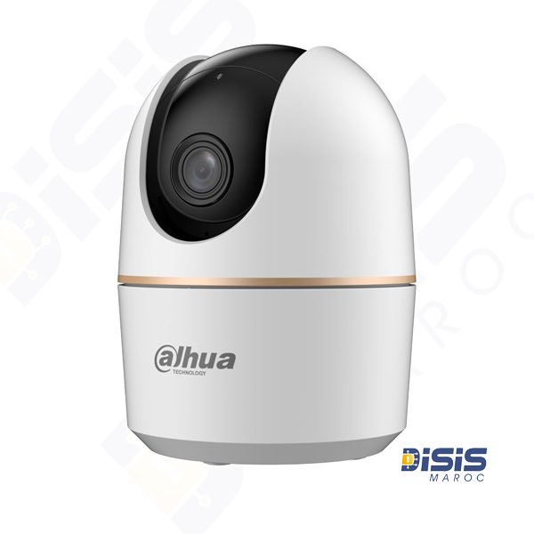 Caméra IP Dahua DH-H4A