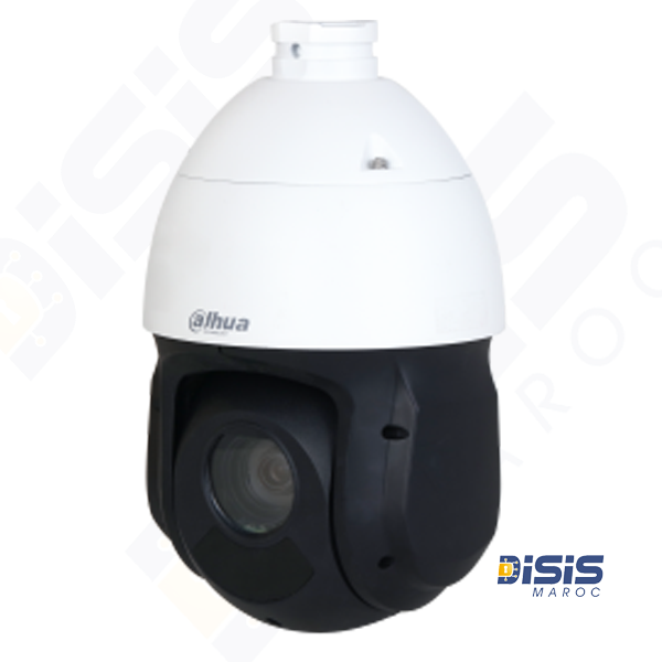Caméra PTZ WizSense DH-49425DB-HNY