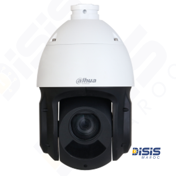 Caméra PTZ WizSense DH-49425DB-HNY