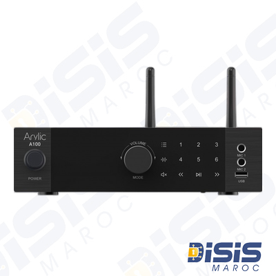 Amplificateur HI-FI Multiroom avec WIFI & B.Tooth ARYLIC A100
