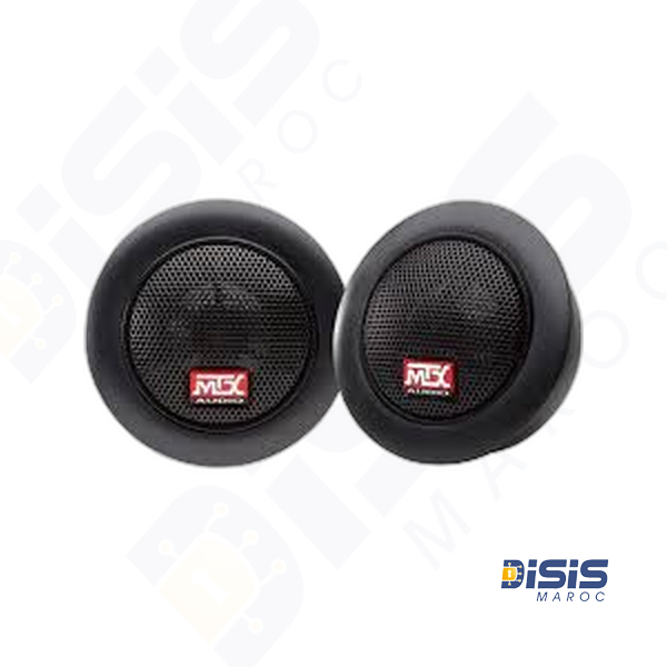 Haut-parleur PS-304A