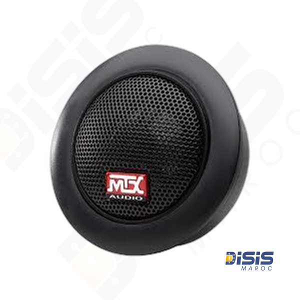 Haut-parleur PS-304A