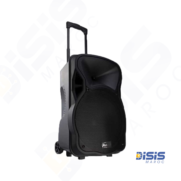 Master A12‑2 – Sono portable rechargeable 12″ avec USB, SD