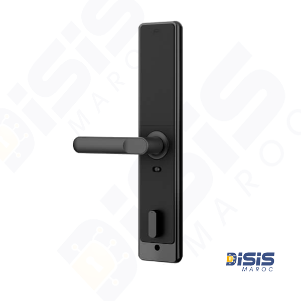 SERREUR INTELLIGENTE PER CODE+EMPRIENTE+CARTE+WIFI